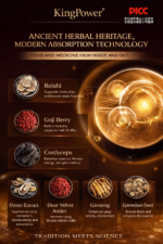 Premium Men’s Vitality Support Supplement in UAE – Natural Energy & Daily Performance Boost for Modern Men | UMP-M03 - Image 4