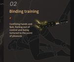 Premium E-Stim Sensation Paddle In Dubai | Designed For Advanced Sensation Play & Power Exchange Experiences | UMPSM14 - Image 4